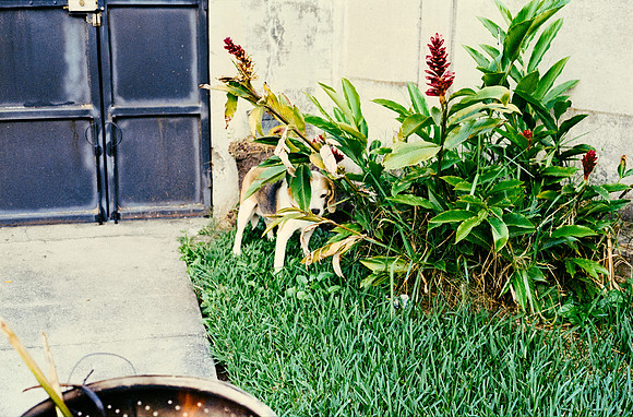 28 Carlos Cabrera - Kodak Ultramax 400 por Arca Film Lab (Marzo 2025) - Rollo 0788
