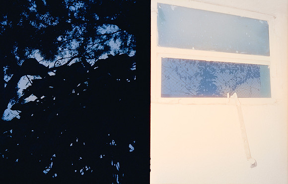12 Edwing Chang - Cinestill 800T por Arca Film Lab (Noviembre 2024) - Rollo 0515