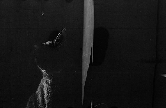 17 Guilia Trobbiani - Fomapan 100 por Arca Film Lab (Abril 2025) - Rollo 0933