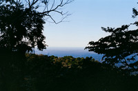09 Harry Leath - Kodak Gold 200 por Arca Film Lab (Marzo 2025) - Rollo 0816