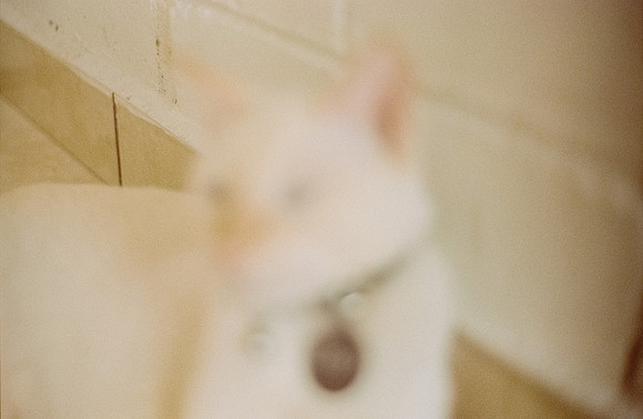 23 Abraham Castillo - Fujifilm 400 por Arca Film Lab (Junio 2025) - Rollo 1118