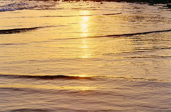 27 Carlos Siri - Fujifilm 400 por Arca Film Lab (Febrero 2025) - Rollo 0699