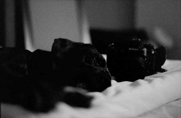 08 Alexander Daum - Ilford HP5+ 400 por Arca Film Lab (Noviembre 2024) - Rollo 0511