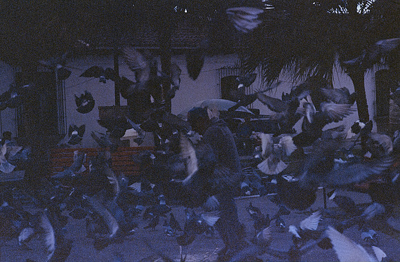 18 Fritz Pinnow - Cinestill 800T por Arca Film Lab (Diciembre 2024) - Rollo 0547