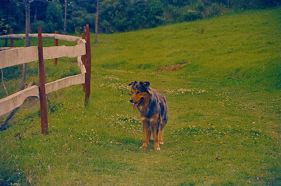 35 Omar Véliz - Kodak Vision 3 500T por Arca Film Lab (Febrero 2025) - Rollo 0682