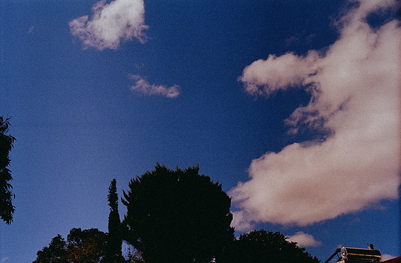 03 Alexander Daum - Fujifilm 200 por Arca Film Lab (Diciembre 2024) - Rollo 0559