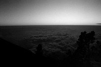 12 Eduardo Rottman - Kodak TMax 3200 por Arca Film Lab (Mayo 2024) - Rollo 0057
