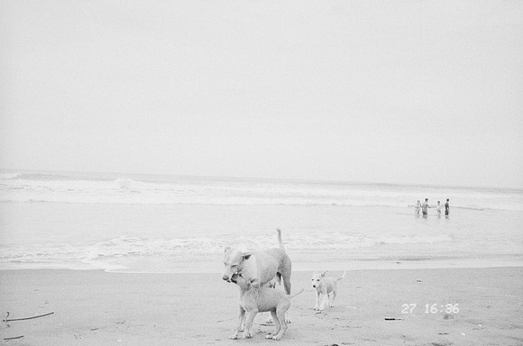 33 Elena Campos - Ilford HP5+ 400 por Arca Film Lab (Junio 2025) - Rollo 1114