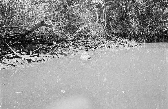 36 Guilia Trobbiani - Ilford HP5+ 400 por Arca Film Lab (Abril 2025) - Rollo 0932