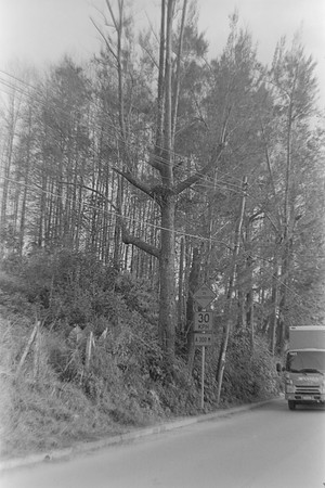 11 Pablo Josué Noack - Ilford HP5 Plus 400 por Arca Film Lab (Mayo 2024) - Rollo 0077