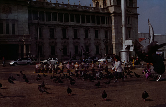 20 Elliot Morales - Cinestill 400D por Arca Film Lab (Mayo 2025) - Rollo 1049