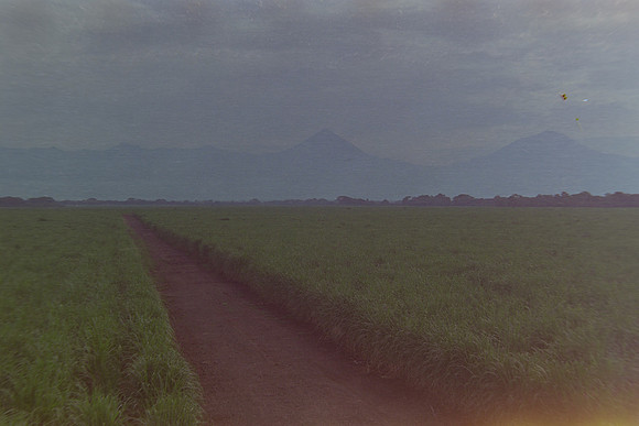 26 Christian Arriola - Kodak Gold 200 por Arca Film Lab (Agosto 2024) - Rollo 0232
