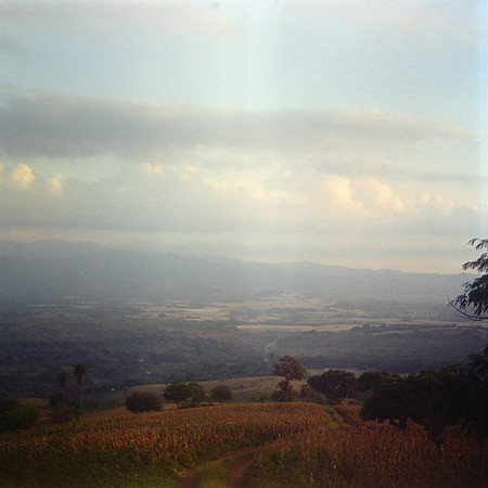 01 Mauricio Salguero - Kodak Gold 200 120 por Arca Film Lab (Septiembre 2024) - Rollo 0355