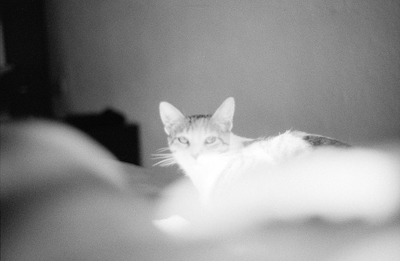 11 Valeria Minera - Kentmere Pan 400 por Arca Film Lab (Abril 2025) - Rollo 0960