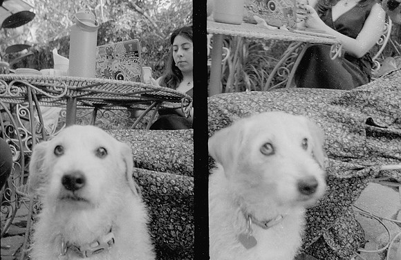 39 Natalia Mendoza - Kentmere Pan 400 por Arca Film Lab (Enero 2025) - Rollo 0696