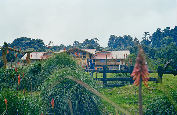 31 José Pérez - Kodak Gold 200 por Arca Film Lab (Enero 2025) - Rollo 0641