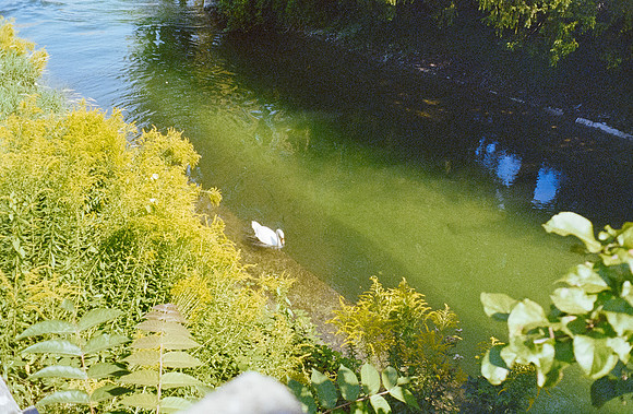06 María Olga Samperio - Kodacolor 200 por Arca Film Lab (Enero 2025) - Rollo 0677