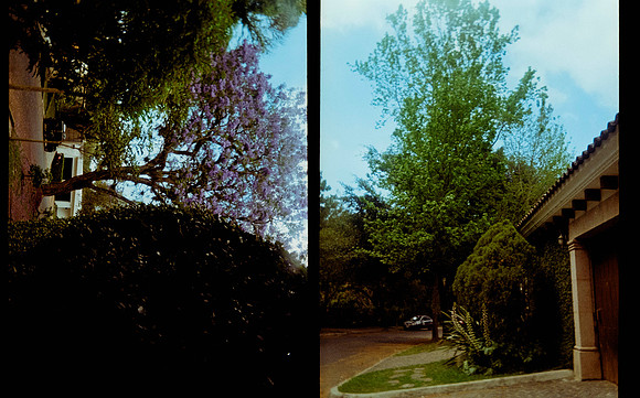 04 Jimena Sánchez - Kodak Gold 200 por Arca Film Lab (Mayo 2025) - Rollo 0991
