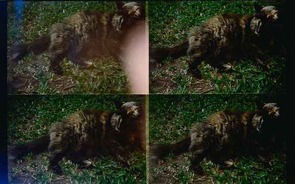 33 Natalia Mendoza - Kodak Gold 200 por Arca Film Lab (Mayo 2025) - Rollo 1018