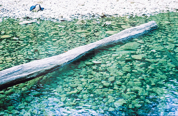 33 Fabriccio Díaz - Fujichrome Provia 100F por Arca Film Lab (Junio 2024) - Rollo 0046