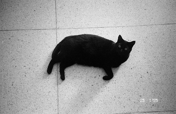 02 María Paula González - Kentmere Pan 400 por Arca Film Lab (Abril 2025) - Rollo 0903