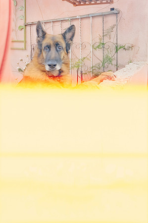01 Edwing Chang - Cinestill 800T por Arca Film Lab (Noviembre 2024) - Rollo 0515