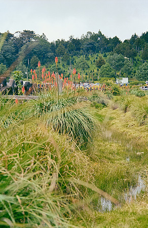 32 José Pérez - Kodak Gold 200 por Arca Film Lab (Enero 2025) - Rollo 0641