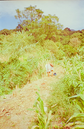 17 José David Fuentes - Fujifilm 200 por Arca Film Lab (Diciembre 2024) - Rollo 0538
