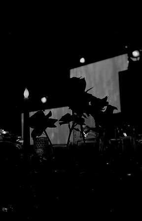 04 Natalia Mendoza - Kentmere Pan 400 por Arca Film Lab (Febrero 2025) - Rollo 0697