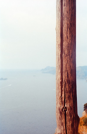 06 Guillermo López - Fujifilm 200 por Arca Film Lab (Octubre 2024) - Rollo 0412