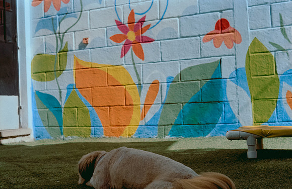 19 Denis Guerrero - Kodak Gold 200 por Arca Film Lab (Agosto 2024) - Rollo 0296