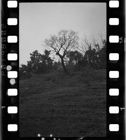 01 Roger Feoli - Kodak TMAX 400 por Arca Film Lab (Mayo 2025) - Rollo 1031
