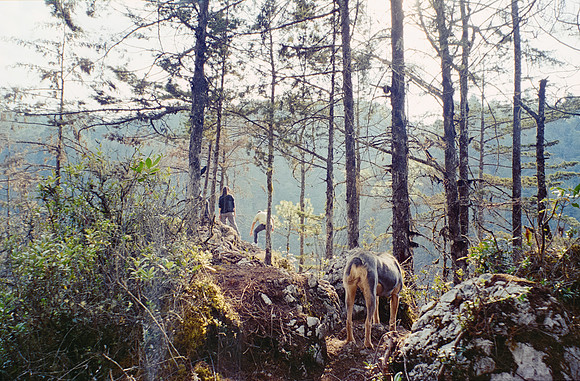 20 Ernesto Ábrego - Kodak Ultramax 400 por Arca Film Lab (Mayo 2025) - Rollo 1079