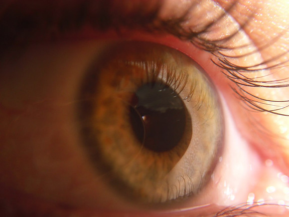 ojo de paola