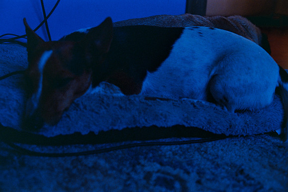08 Rosa Badalamenti - Kodak Ultramax 400 por Arca Film Lab (Junio 2025) - Rollo 1167