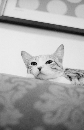 13 Valeria Minera - Kentmere Pan 400 por Arca Film Lab (Abril 2025) - Rollo 0960