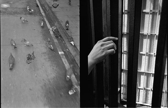 08 Alejandro Anzueto - Ilford Pan 400 por Arca Film Lab (Julio 2024) - Rollo 0147