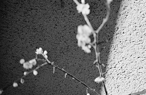 02 Loren Giordano - Ilford XP2 400 por Arca Film Lab (Mayo 2025) - Rollo 1073