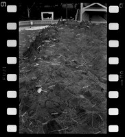 08 Omar Véliz - Neopan SS 100 por Arca Film Lab (Agosto 2024) - Rollo 0301
