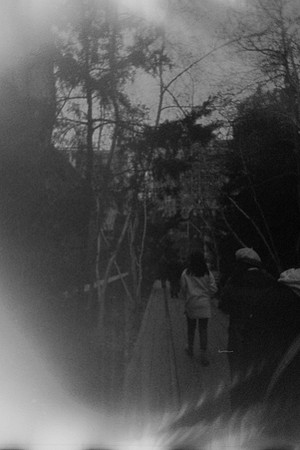 46 María Fernanda Santizo  - B&W Kodak Portra 400 con Rayos X por Arca Film Lab (Abril 2024)