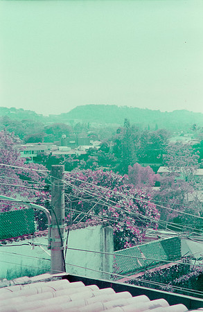 21 Natalia Mendoza - Lomography Purple por Arca Film Lab (Mayo 2025) - Rollo 1019