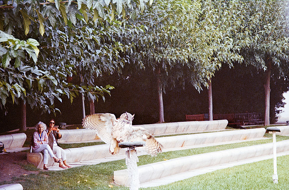 02 Natalia Mendoza - Kodak Ultramax 400 por Arca Film Lab (Noviembre 2024) - Rollo 0490