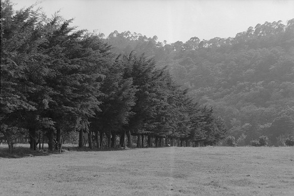 15 Omar Véliz - Ilford FP4 125 Plus por Arca Film Lab (Mayo 2024) - Rollo 0060