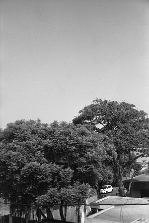 23 Lucía Paíz - Kodak TMax 400 por Arca Film Lab (Mayo 2024) - Rollo 0061