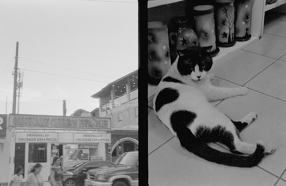 19 Natalia Mendoza - Kentmere Pan 400 por Arca Film Lab (Enero 2025) - Rollo 0696