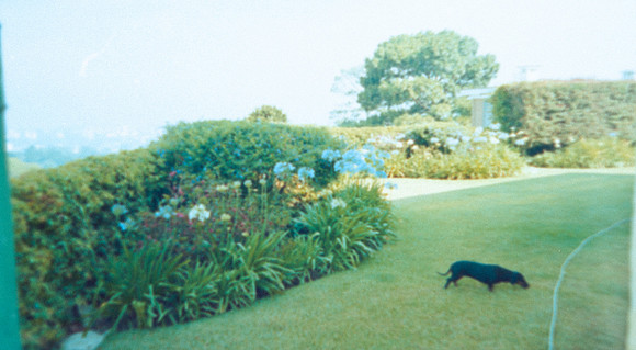 19 Alexander Daum - Kodak Gold 200 por Arca Film Lab (Abril 2025) - Rollo 0899
