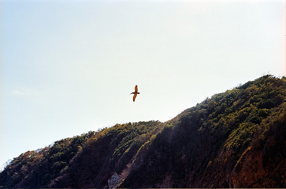 08 Carlos Siri - Kodak Ektar 100 por Arca Film Lab (Julio 2024) - Rollo 0188