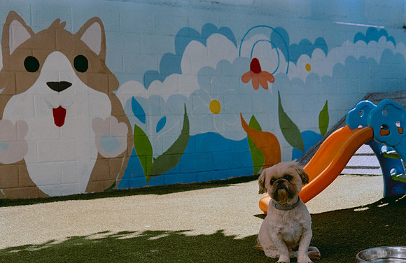 15 Denis Guerrero - Kodak Gold 200 por Arca Film Lab (Agosto 2024) - Rollo 0296