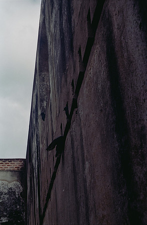 16 Ronald Ottoniel - Cinestill 400D por Arca Film Lab (Febrero 2025) - Rollo 0759