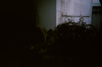 16 Rodrigo Bracamonte - Fujifilm Sensia 100 por Arca Film Lab (Enero 2025) - Rollo 0622